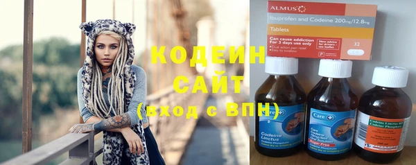 кокс Касимов