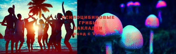 кокс Касимов