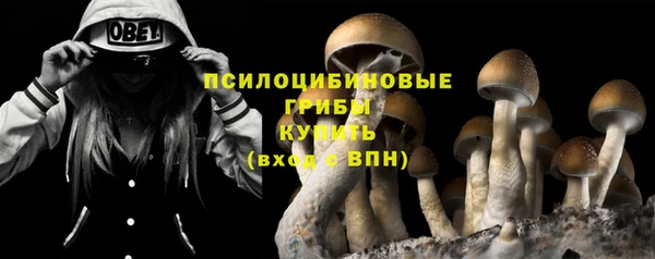 кокс Касимов