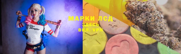 кокс Касимов