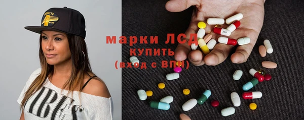 кокс Касимов