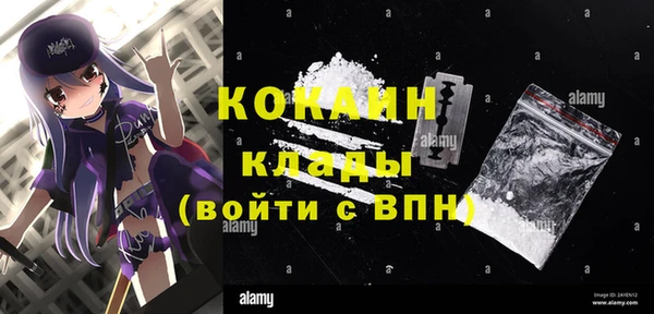 кокс Касимов