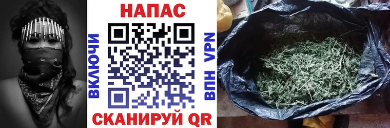 Канабис семена Михайлов